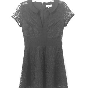 Above the knee lace dress. Luccacouture.